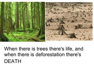 When there is trees there's life, and when there is deforestation there's DEATH   