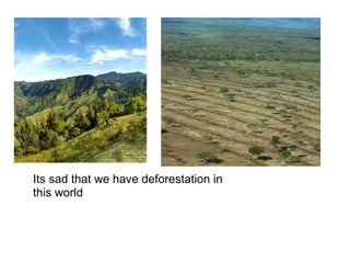 Its sad that we have deforestation in this world 