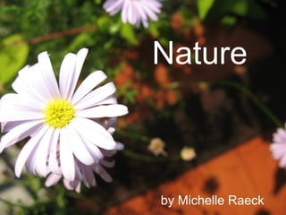 Nature by Michelle Raeck 