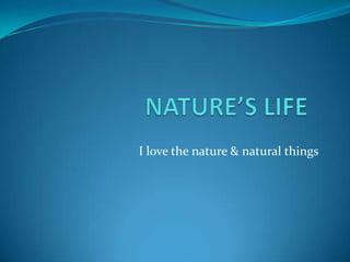 NATURE’S LIFE	 I love the nature & natural things 