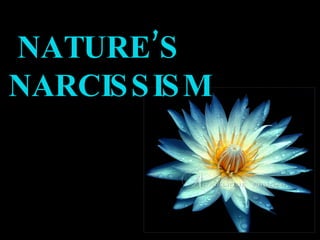 NATURE’S
NARCIS S IS M
 