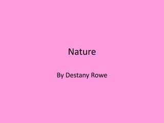 Nature
By Destany Rowe
 