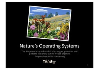 Nature’s Opera,ng Systems 
The Biosphere is a database full of strategies, processes and 
        pa=erns that show us how we can organize 
             the people world in a be=er way 


                                                                 1 
 