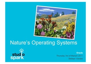 Nature’s Operating Systems
                                      Oracle
                 Thursday 3rd of Marsch 2011
                             Stefaan Vandist
 