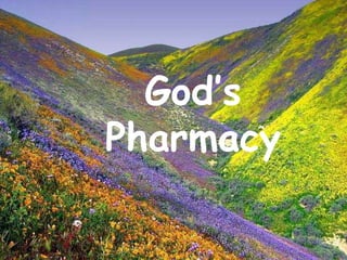 God’s Pharmacy 