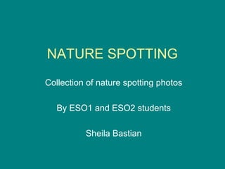 NATURE SPOTTING
Collection of nature spotting photos
By ESO1 and ESO2 students
Sheila Bastian

 