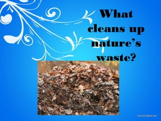 What
cleans up
 nature’s
  waste?
 