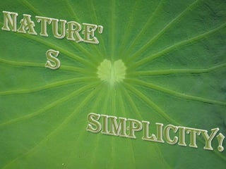 Nature's Simplicity! 