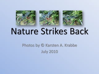 Nature Strikes Back Photos by © Karsten A. Krabbe July 2010 