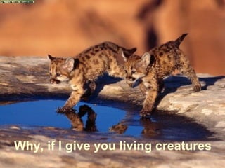 Why, if I give you living creatures
 