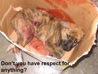 Don’t you have respect for
anything?
 