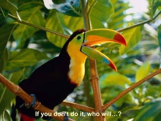 If you don’t do it, who will…?
 