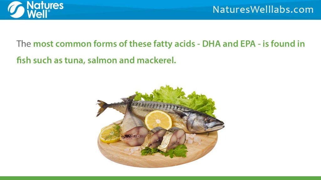 Making the Right Choice between Algae Oil & Omega Omega Fish Oil