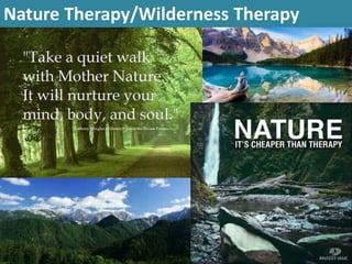 Nature Therapy/Wilderness Therapy 
 