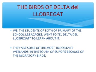 ∗ WE, THE STUDENTS OF SIXTH OF PRIMARY OF THE
SCHOOL LES ACÀCIES, WENT TO “EL DELTA DEL
LLOBREGAT” TO LEARN ABOUT IT.
∗ THEY ARE SOME OF THE MOST IMPORTANT
WETLANDS IN THE SOUTH OF EUROPE BECAUSE OF
THE MIGRATORY BIRDS.
THE BIRDS OF DELTA del
LLOBREGAT
 