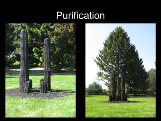 Purification