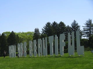 Nature Unframed at the Morton Arboretum