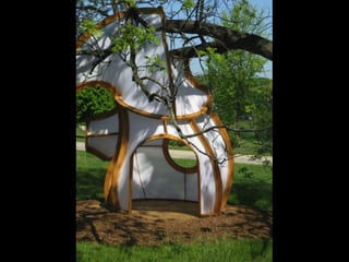 Nature Unframed at the Morton Arboretum
