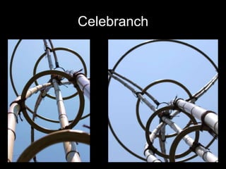 Celebranch