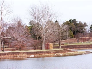 Nature Unframed at the Morton Arboretum