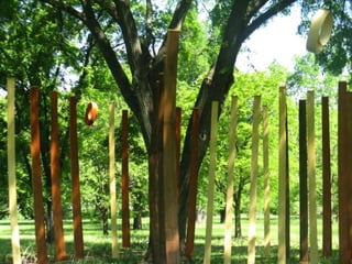 Nature Unframed at the Morton Arboretum