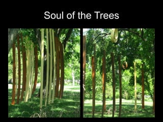 Soul of the Trees