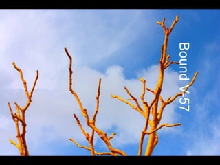 Bound V-57
