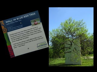 Nature Unframed at the Morton Arboretum