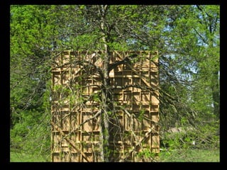Nature Unframed at the Morton Arboretum