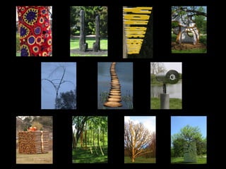 Nature Unframed at the Morton Arboretum