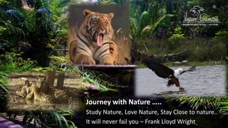Journey with Nature …..
Study Nature, Love Nature, Stay Close to nature..
It will never fail you – Frank Lloyd Wright
 