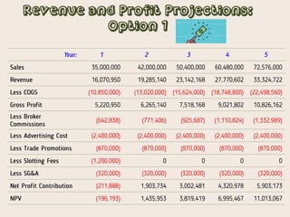 Revenue and Profit Projections:
Option 1