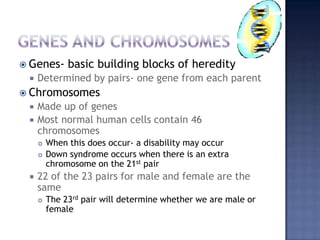 Genes and ChromosomesGenes- basic building blocks of heredityDetermined by pairs- one gene from each parentChromosomes Made up of genesMost normal human cells contain 46 chromosomesWhen this does occur- a disability may occurDown syndrome occurs when there is an extra chromosome on the 21st pair 22 of the 23 pairs for male and female are the sameThe 23rd pair will determine whether we are male or female 