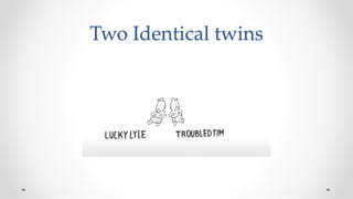 Two Identical twins
 
