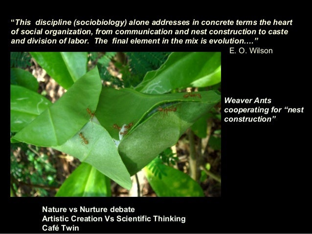 Nature Vs Nurture And Evolutionary Nature Vs Nurture And Evolutionary