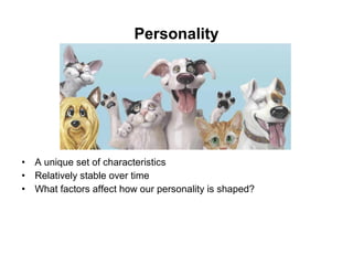 Personality
• A unique set of characteristics
• Relatively stable over time
• What factors affect how our personality is shaped?
 