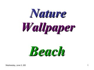 Nature  Wallpaper Beach 