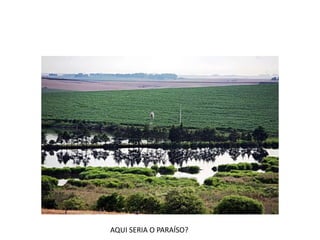 AQUI SERIA O PARAÍSO?
 