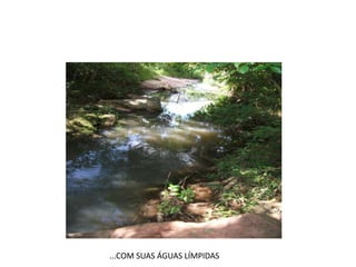 ...COM SUAS ÁGUAS LÍMPIDAS
 
