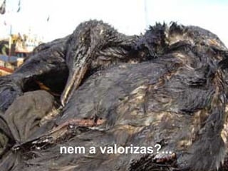 nem a valorizas?... 