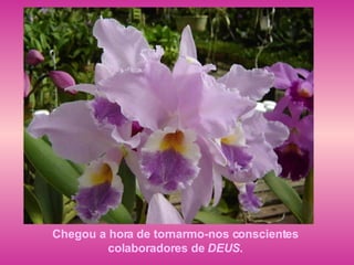 Chegou a hora de tornarmo-nos conscientes  colaboradores de  DEUS .  