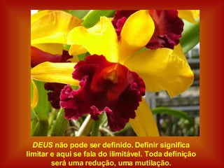 DEUS  não pode ser definido. Definir significa  limitar e aqui se fala do ilimitável. Toda definição  será uma redução, uma mutilação.  