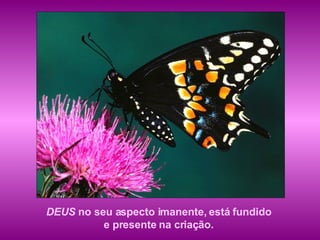 DEUS  no seu aspecto imanente, está fundido  e presente na criação.  