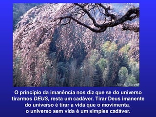 O princípio da imanência nos diz que se do universo tirarmos  DEUS , resta um cadáver. Tirar Deus imanente  do universo é tirar a vida que o movimenta,  o universo sem vida é um simples cadáver. 