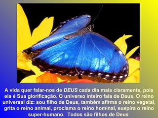 A vida quer falar-nos de  DEUS  cada dia mais claramente, pois ela é Sua glorificação. O universo inteiro fala de Deus. O reino universal diz: sou filho de Deus, também afirma o reino vegetal, grita o reino animal, proclama o reino hominal, suspira o reino super-humano.  Todos são filhos de Deus   