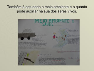 Também é estudado o meio ambiente e o quanto
    pode auxiliar na sua dos seres vivos.
 