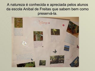 A natureza é conhecida e apreciada pelos alunos
da escola Anibal de Freitas que sabem bem como
                   preservá-la.
 