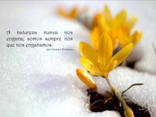 A natureza nunca nos
engana; somos sempre nós
que nos enganamos.
Jean Jacques Rousseau
 