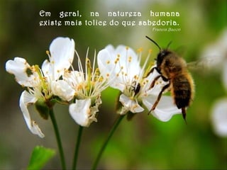 Em geral, na natureza humana
existe mais tolice do que sabedoria.
Francis Bacon
 