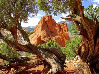 Lindos Cenários do Mundo!